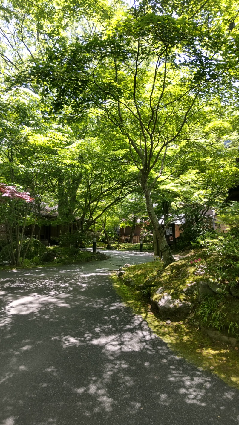 たいすけさんの八面山金色温泉のサ活写真