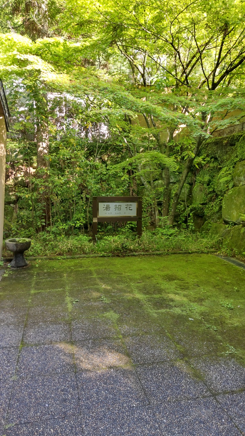 たいすけさんの湯泉郷 温泉館 湯招花のサ活写真