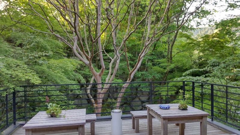 たいすけさんの湯泉郷 温泉館 湯招花のサ活写真