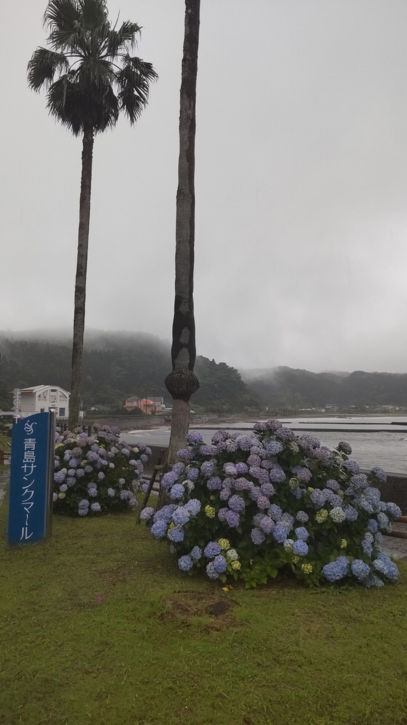 たいすけさんの青島サンクマールのサ活写真