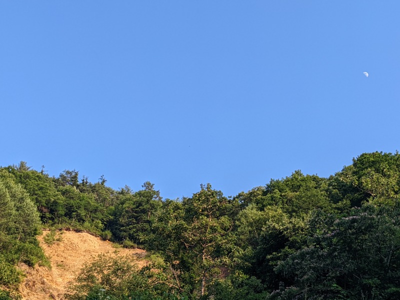 粗塩さんの飛騨高山 自家源泉の湯 臥龍の郷のサ活写真