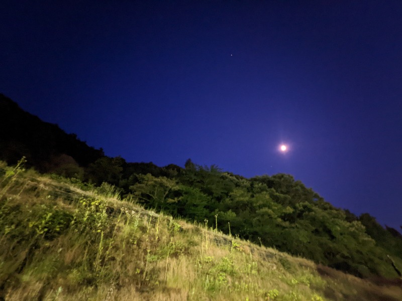 粗塩さんの飛騨高山 自家源泉の湯 臥龍の郷のサ活写真