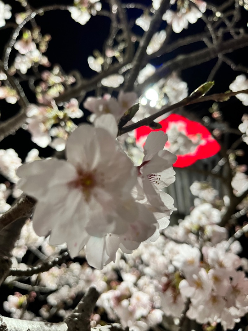 梓さんの袋井温泉 和の湯(やわらぎのゆ)のサ活写真