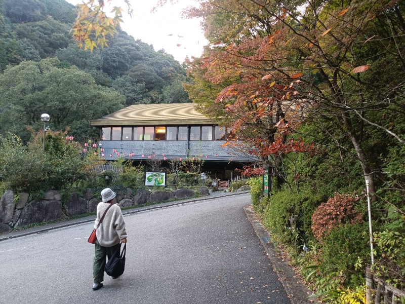 テレクちゃんさんの猿投温泉 金泉の湯のサ活写真