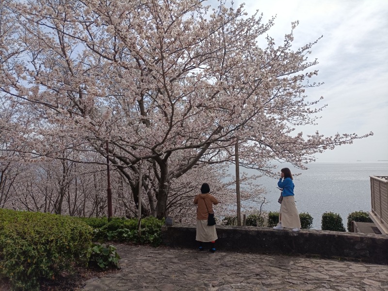 テレクちゃんさんの旬景浪漫 銀波荘のサ活写真