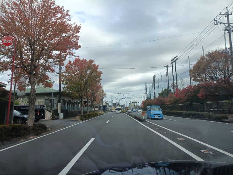 テレクちゃんさんの富士山天然水SPA サウナ鷹の湯のサ活写真