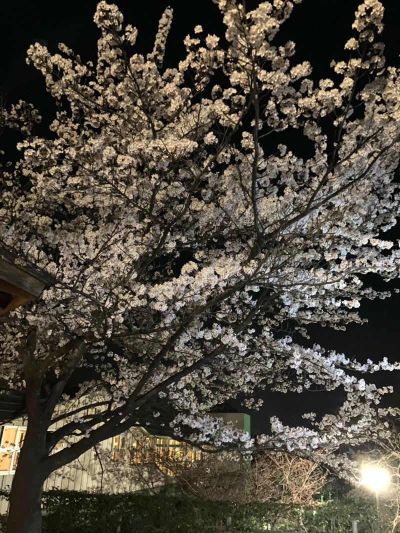 3月7日うまれさんのごまどう 湯っ多里館のサ活写真