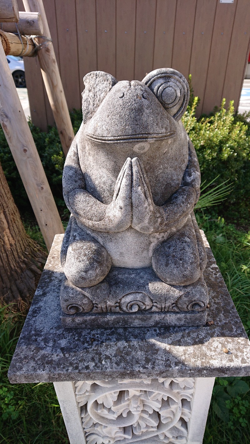 飲布中本さんの天然温泉 スパロイヤル川口のサ活写真