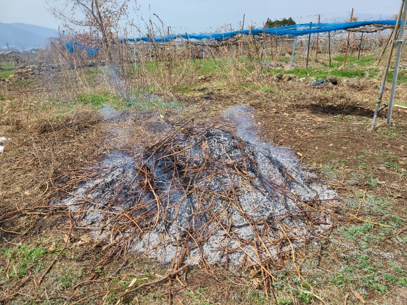 あかさんの信州須坂 関谷温泉湯っ蔵んどのサ活写真