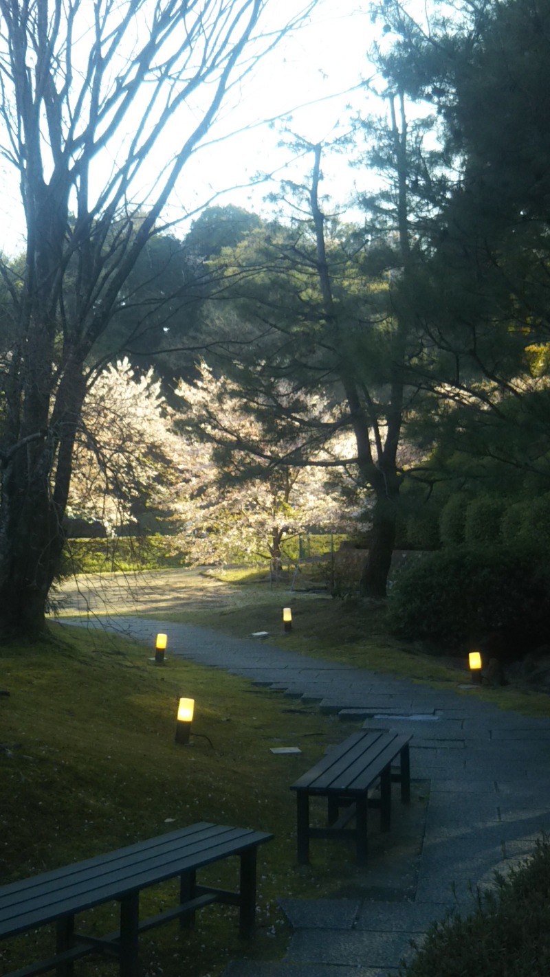 バジル（熱波師）さんの上方温泉一休京都本館のサ活写真