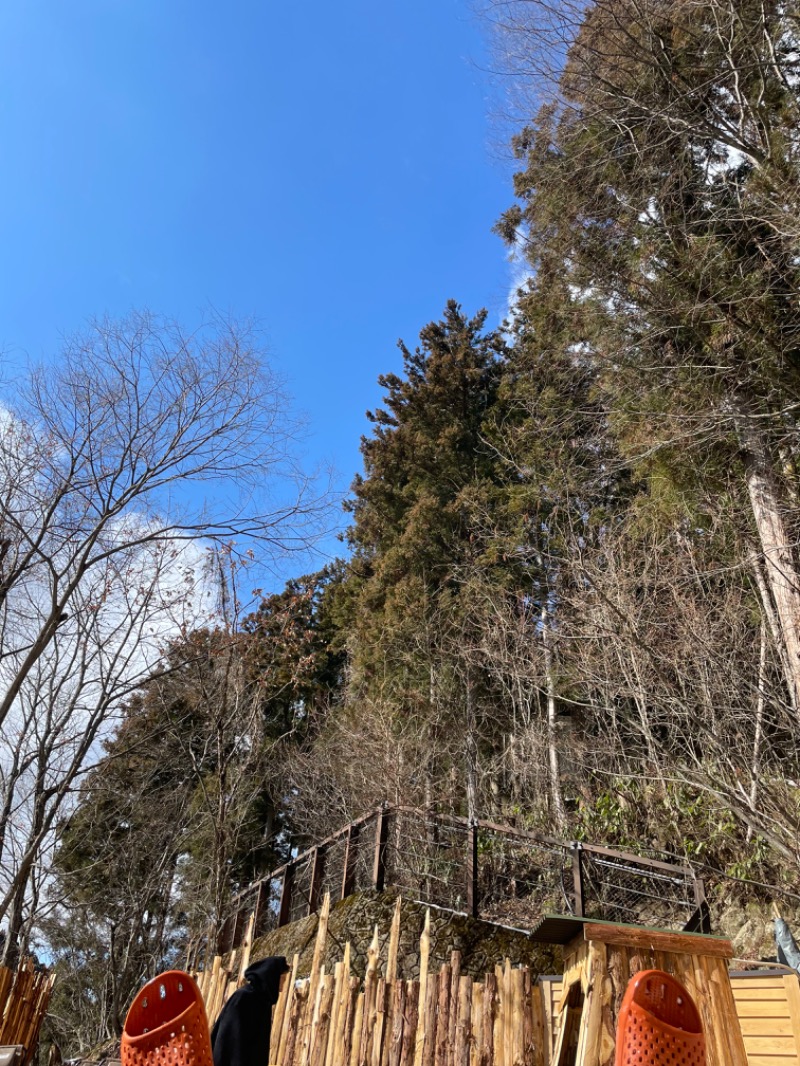 ぽいたさんの梅の屋リゾート 松川館のサ活写真