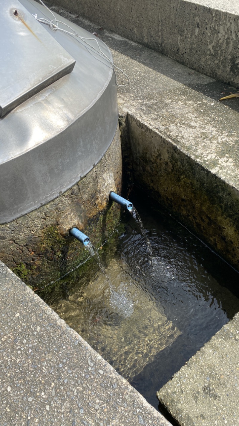 こーじさんの天然温泉 風の森のサ活写真