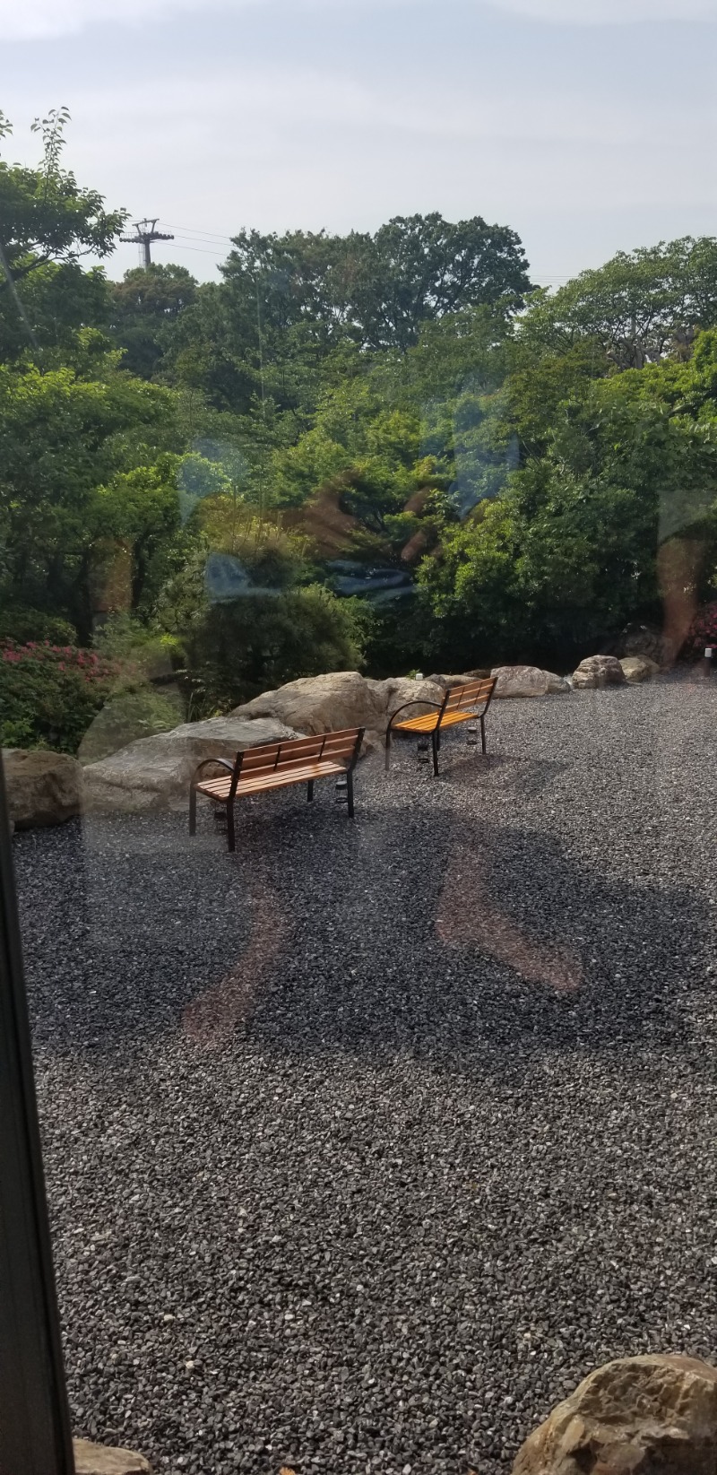 のりさんのよみうりランド眺望温泉 花景の湯のサ活写真