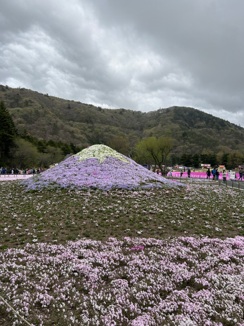 ずみりんさんの河口湖 ホテル 桜庵のサ活写真