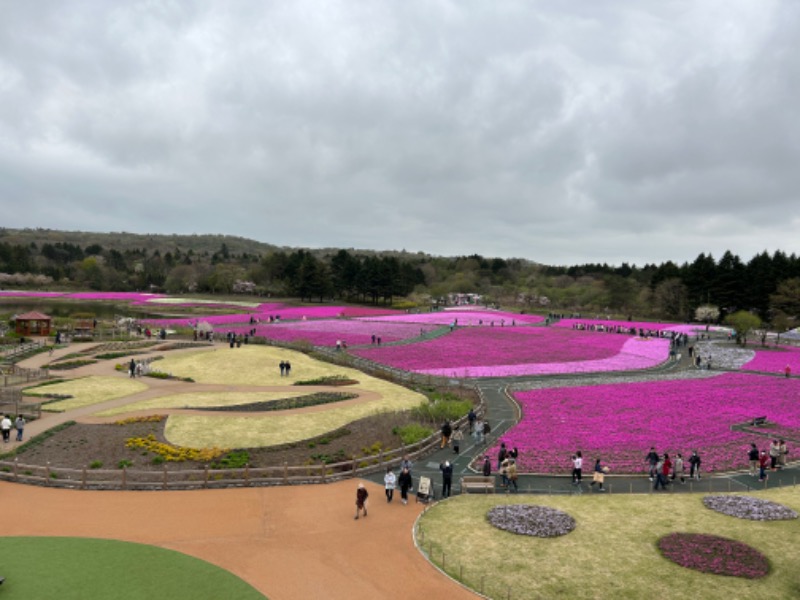 ずみりんさんの河口湖 ホテル 桜庵のサ活写真