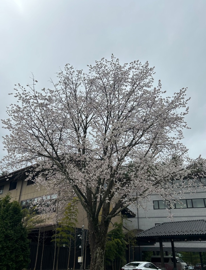 ずみりんさんの河口湖 ホテル 桜庵のサ活写真