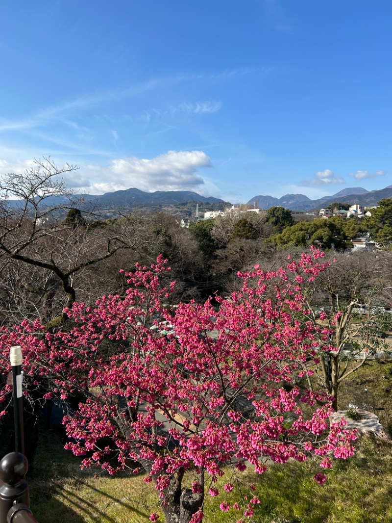 ずみりんさんの小田原お堀端 万葉の湯のサ活写真