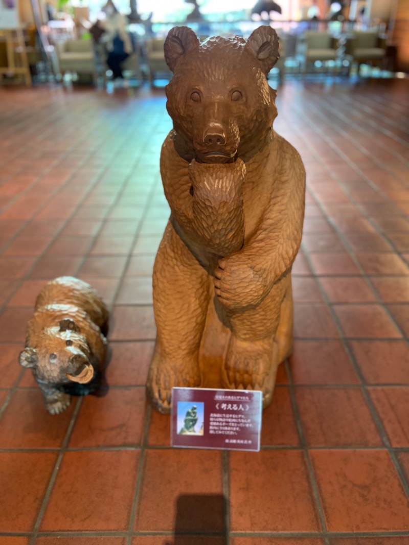 Bob0806さんの森のスパリゾート 北海道ホテルのサ活写真