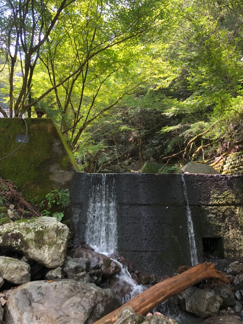 きゃらさんのサウナ寸又峡 -TripTrain-のサ活写真