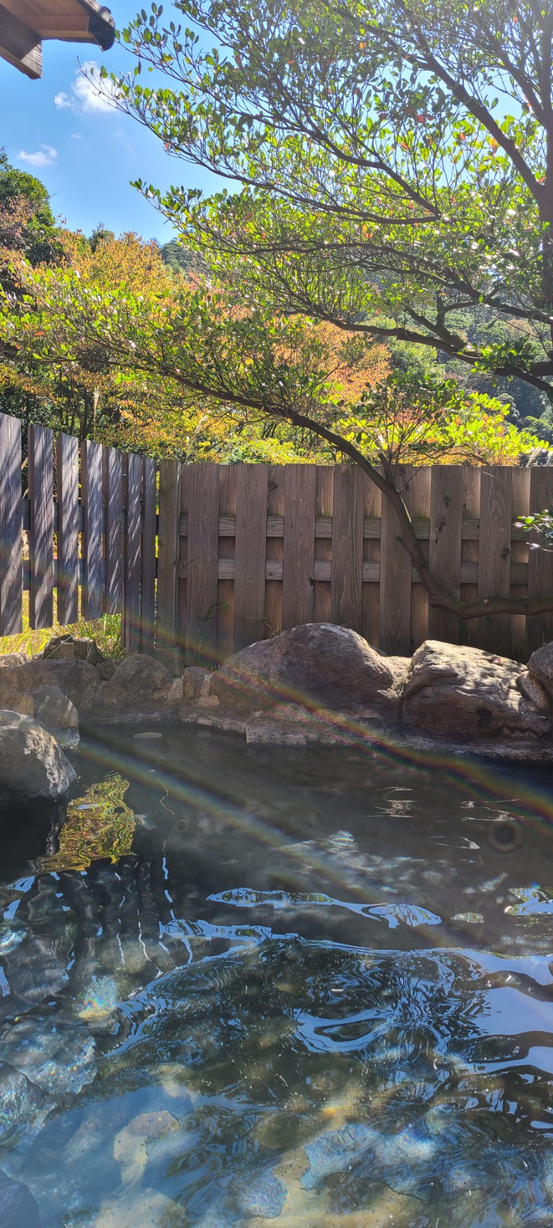 Sauna ねこさんの霧島温泉 旅の湯(旧 野々湯温泉)のサ活写真