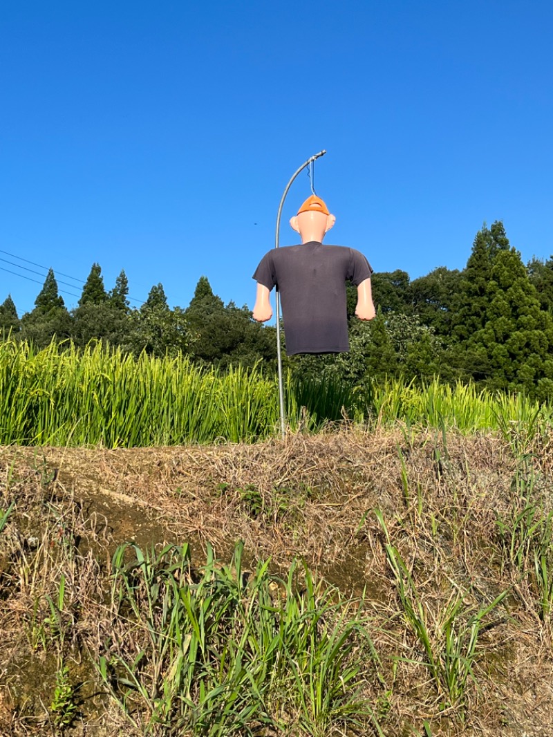 ちんpira子さんのえちご川口温泉のサ活写真