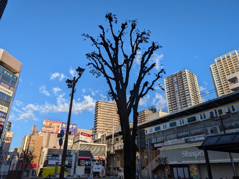 イキタサナウイさんのサウナ&カプセルホテルレインボー本八幡店のサ活写真