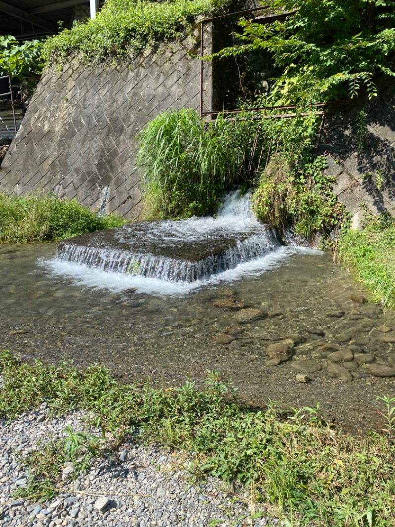 青のすみかさんの山渓のサ活写真