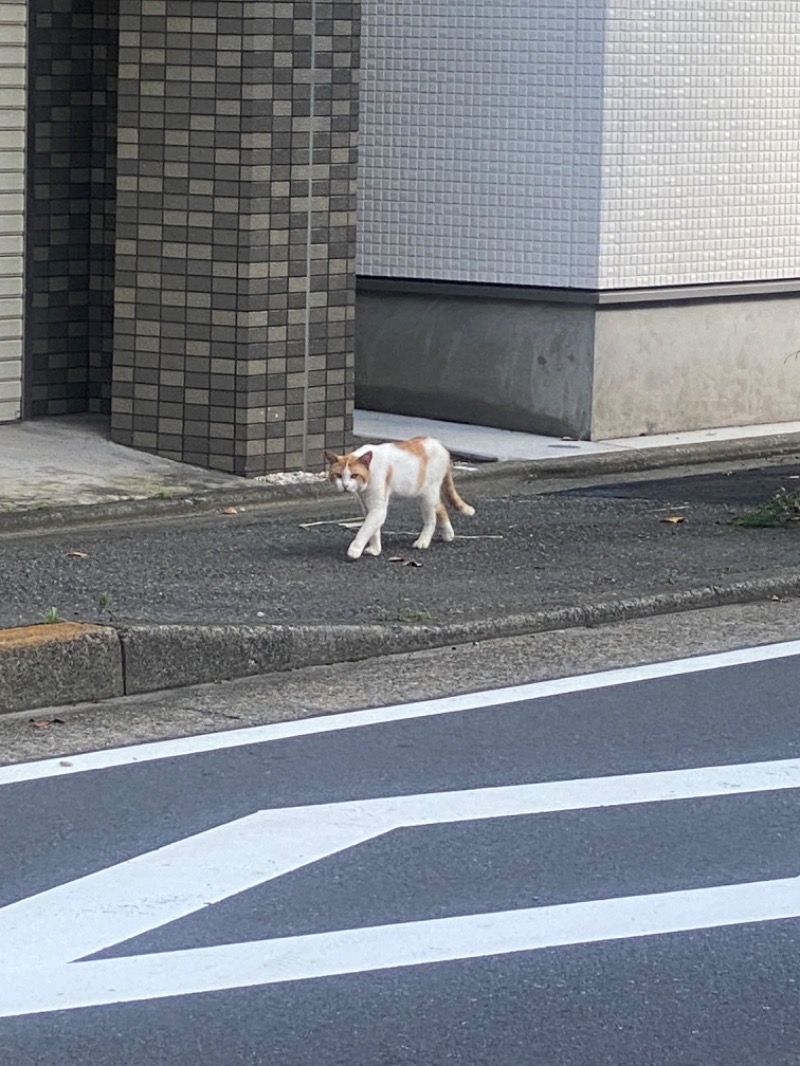 青のすみかさんの越の湯のサ活写真