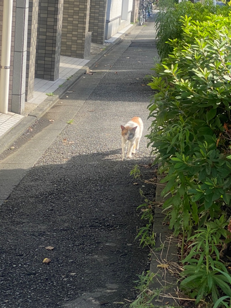 青のすみかさんの越の湯のサ活写真