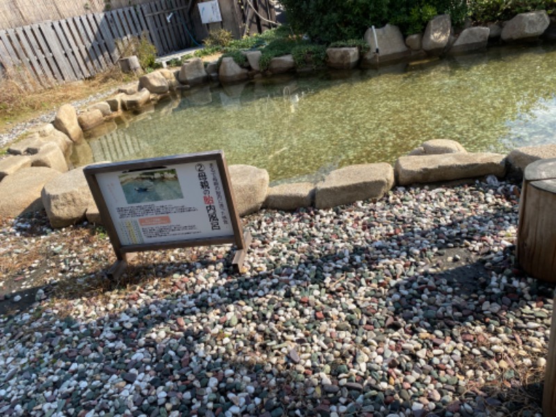 青のすみかさんの江戸風呂のサ活写真