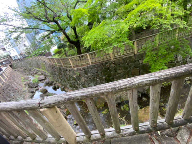 青のすみかさんの飛鳥山温泉のサ活写真