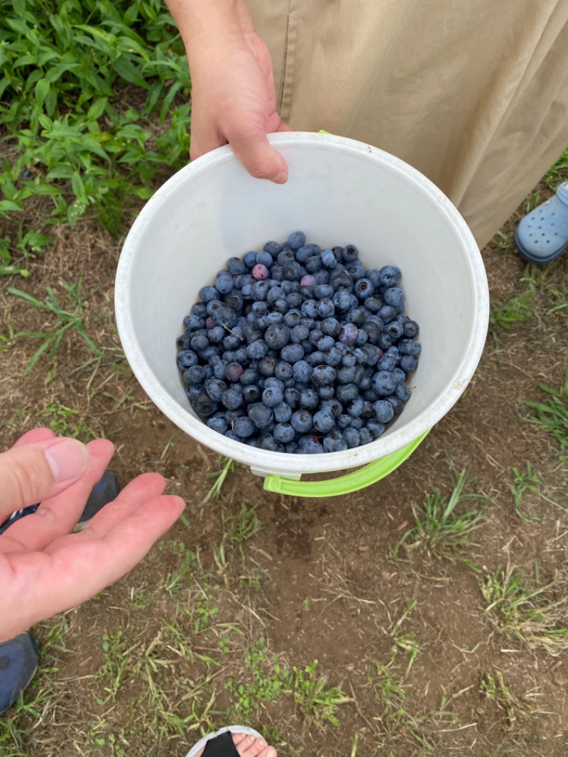 青のすみかさんの仁岸湯のサ活写真