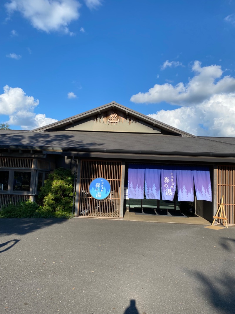 青のすみかさんの小谷流温泉 森の湯のサ活写真