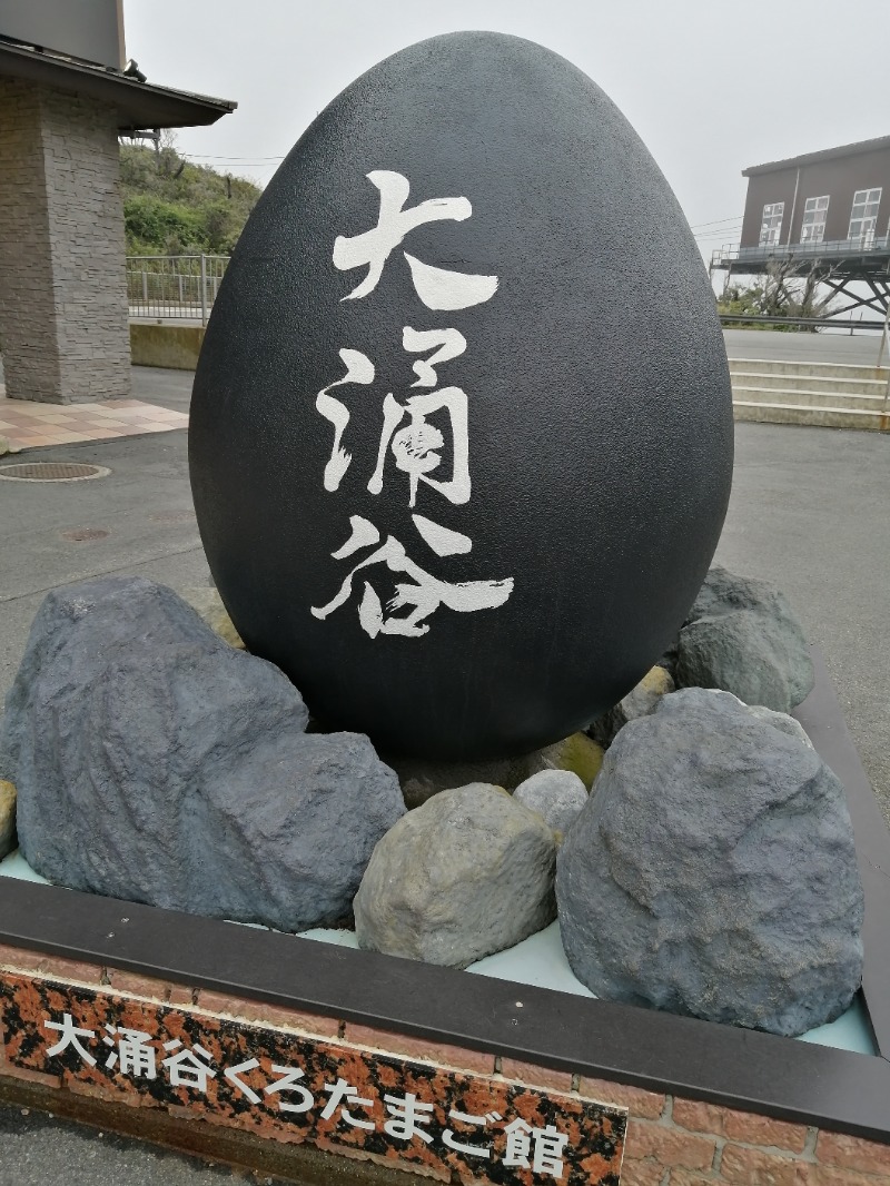 藪知らSkinheadさんの箱根小涌園 元湯 森の湯 (ユネッサン内)のサ活写真