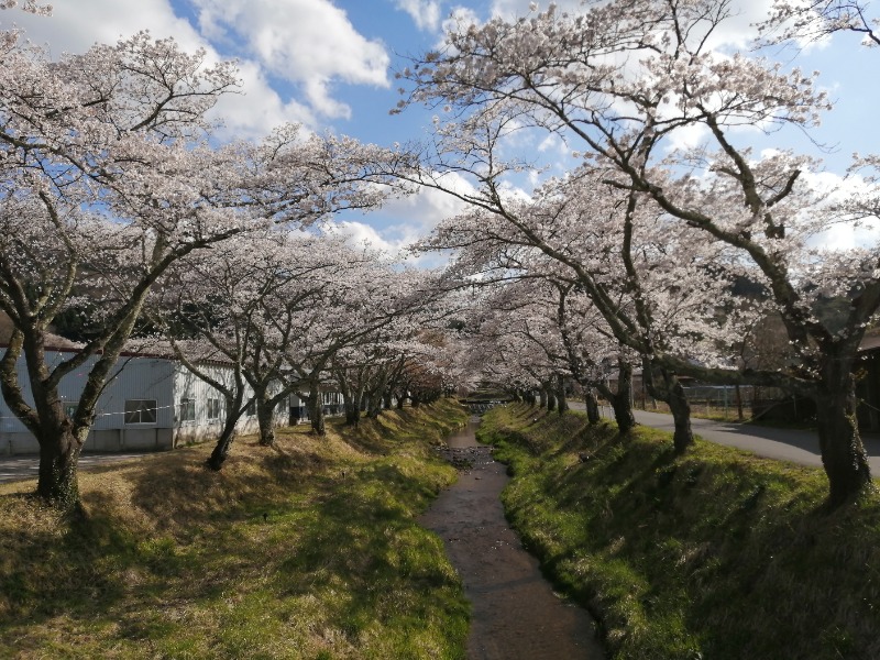 孤高のちゃん丁目㌧トゥ広場で乾杯をさんの川渡温泉 湯あみの宿 ぬまくらのサ活写真