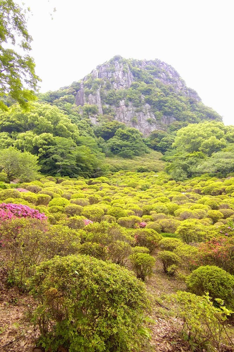 かめたさんの御船山楽園ホテル  らかんの湯のサ活写真