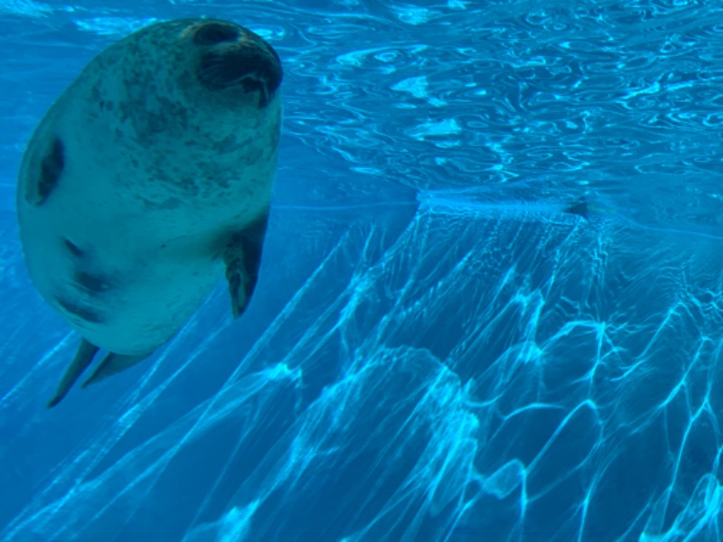 ゆき🍄さんのTJKリゾート金谷城のサ活写真
