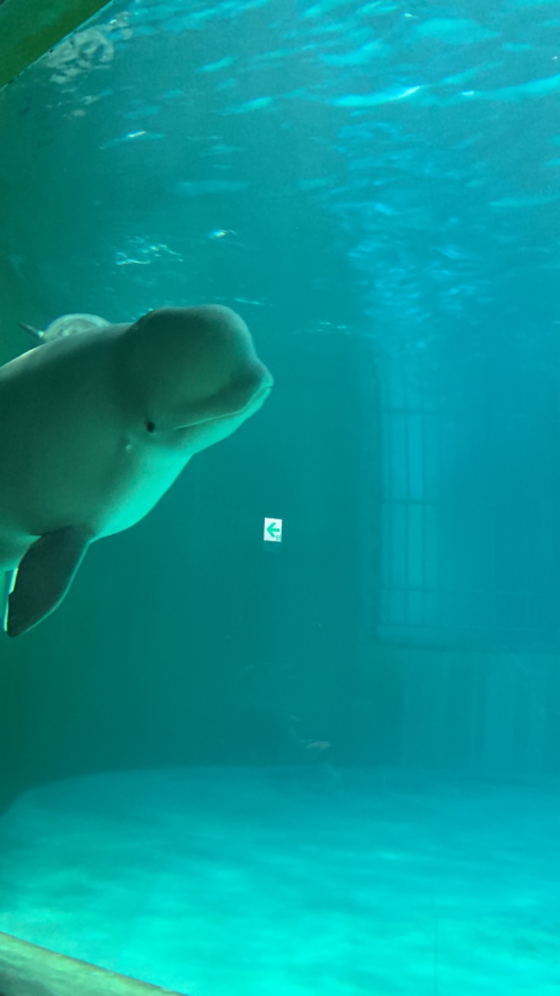 ゆき🍄さんのTJKリゾート金谷城のサ活写真