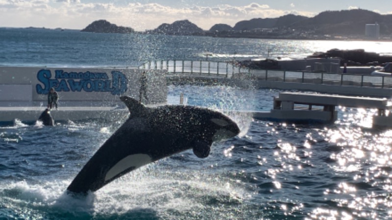 ゆき🍄さんのTJKリゾート金谷城のサ活写真