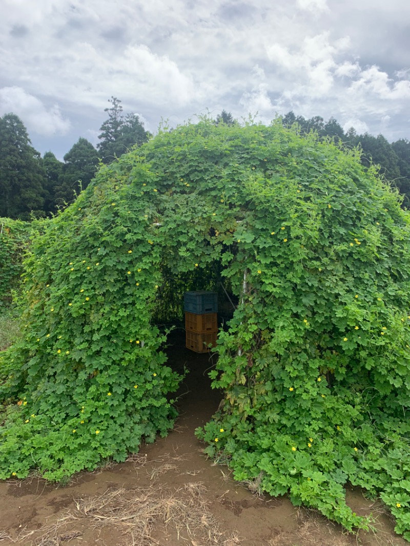 ゆき🍄さんのおふろcafé かりんの湯のサ活写真