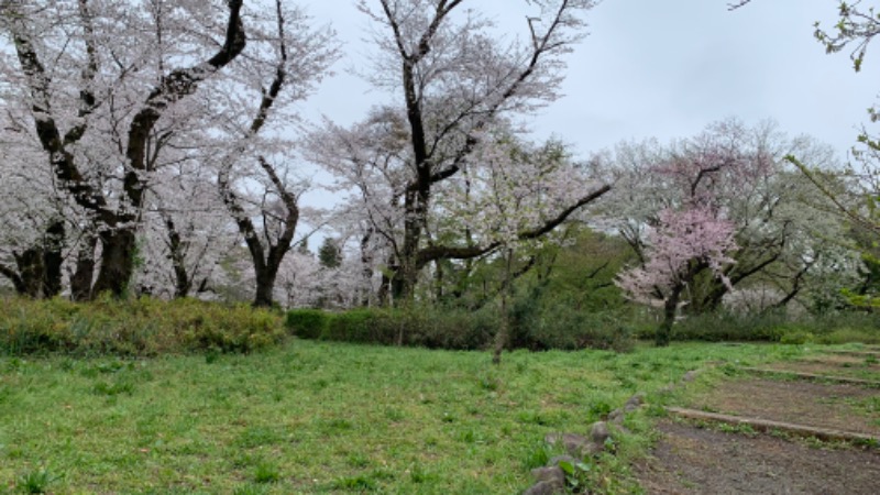 ゆき🍄さんの湯の森 深大湯のサ活写真