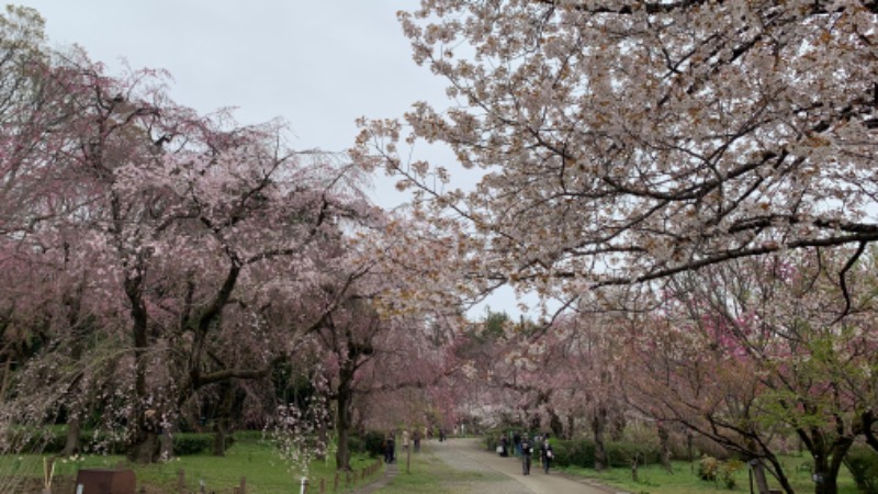 ゆき🍄さんの湯の森 深大湯のサ活写真