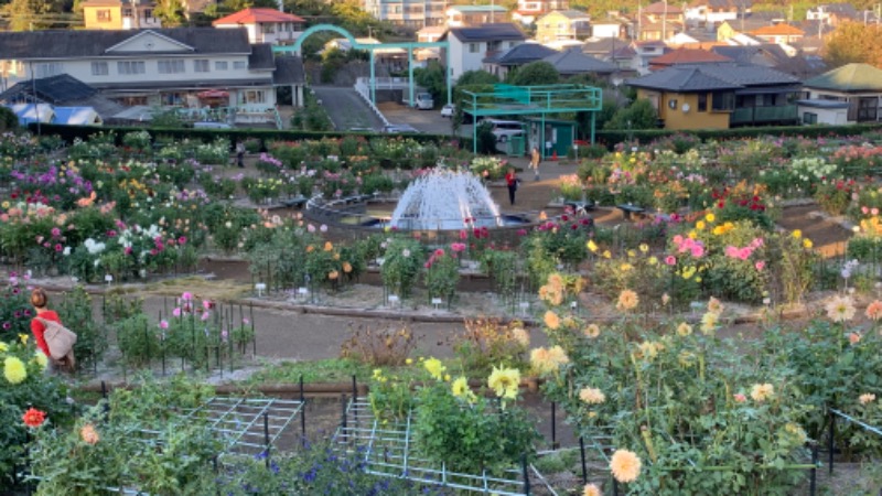 ゆき🍄さんの大蔵湯のサ活写真