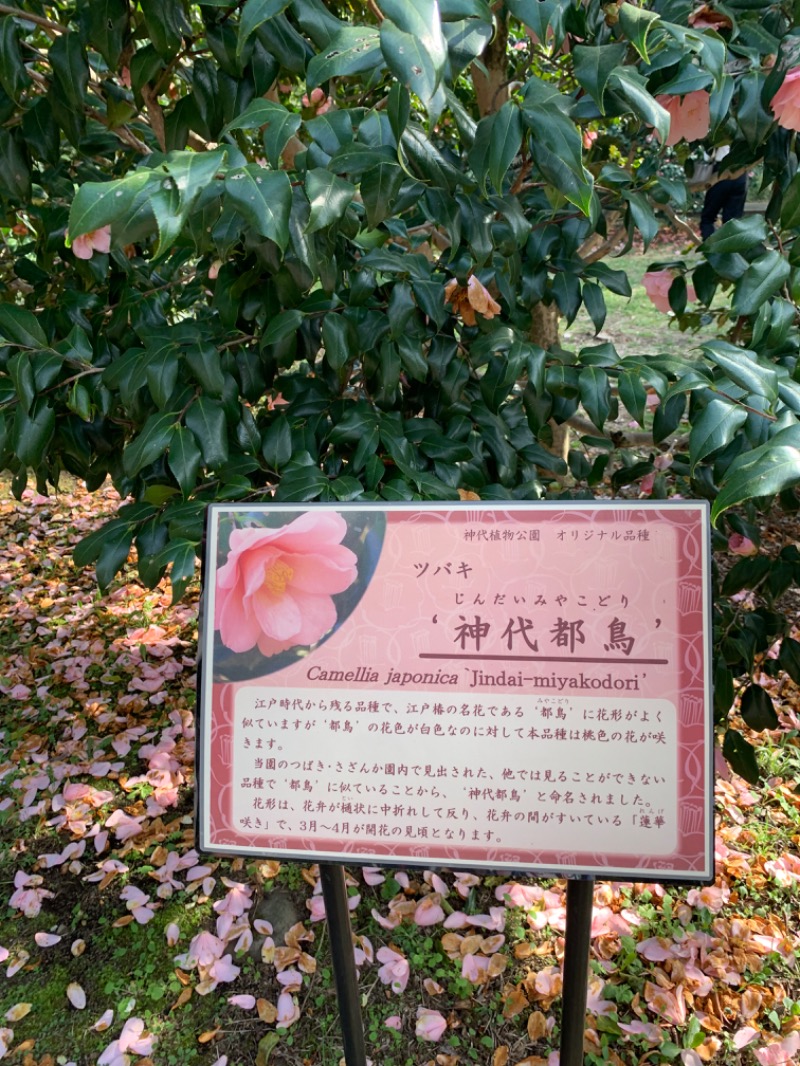 ゆき🍄さんの深大寺天然温泉「湯守の里」のサ活写真