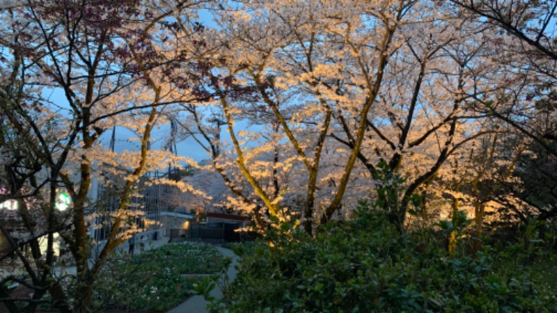 ゆき🍄さんのよみうりランド眺望温泉 花景の湯のサ活写真