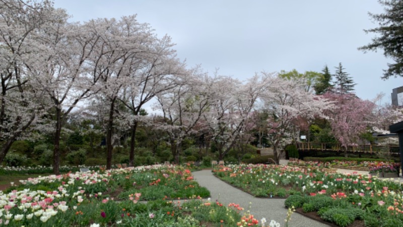 ゆき🍄さんのよみうりランド眺望温泉 花景の湯のサ活写真