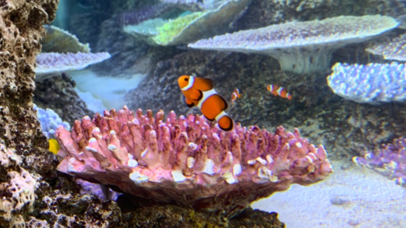 ゆき🍄さんのよみうりランド眺望温泉 花景の湯のサ活写真