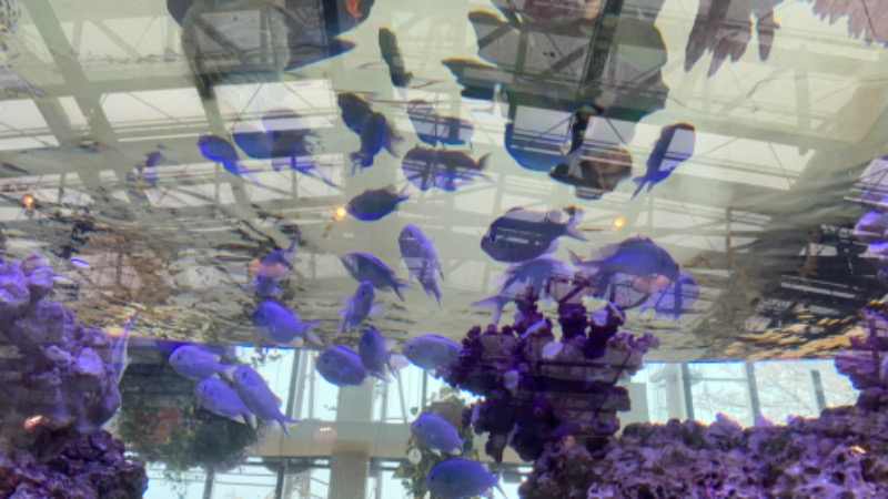 ゆき🍄さんのよみうりランド眺望温泉 花景の湯のサ活写真