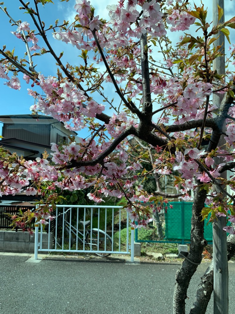 ゆき🍄さんの多摩境天然温泉 森乃彩のサ活写真