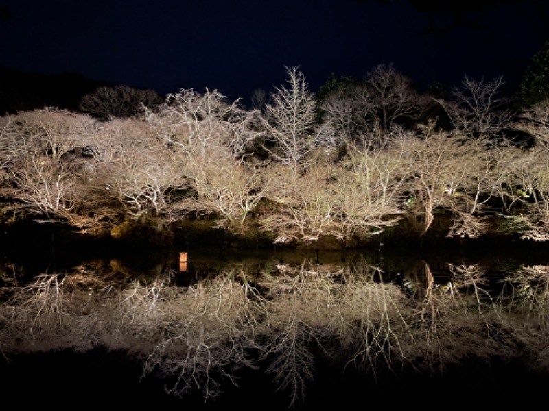 マイコーの37日記さんの御船山楽園ホテル  らかんの湯のサ活写真